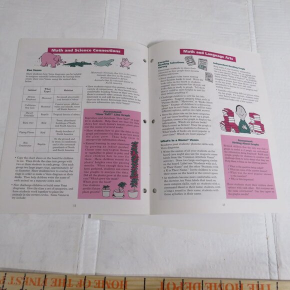 Graph It BIG BOOK (almost 2 feet tall) with teacher pages  CLASSROOM SIZE - Picture 8 of 16